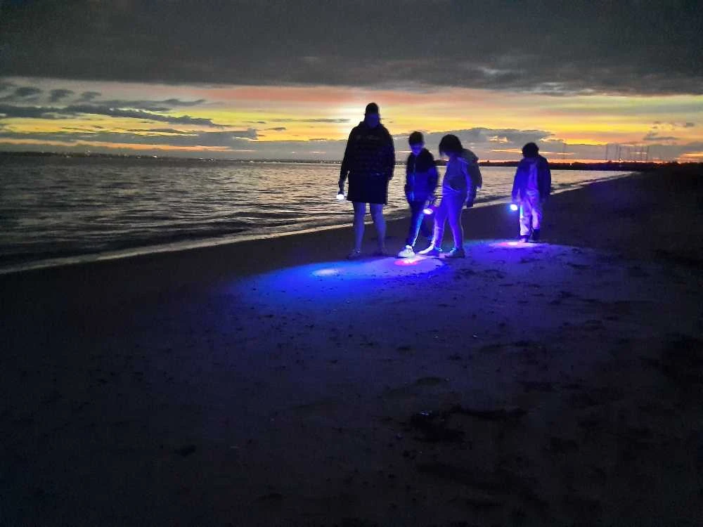 Ant galvos tvirtinamas UV žibintas gintarų paieškai "Amber Moon" 42W