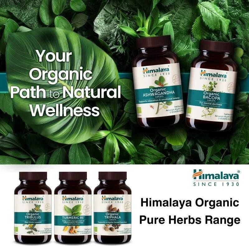 Himalaya Herbals Ciberžolė Turmeric 95 Organic, Himalaya, 60 kapsulių