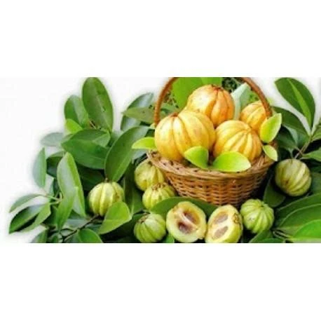 Ayumi Naturals Briaunuotoji kambodžinė garcinija Garcinia, ekologiška, Planet Ayurveda, 60 kapsulių