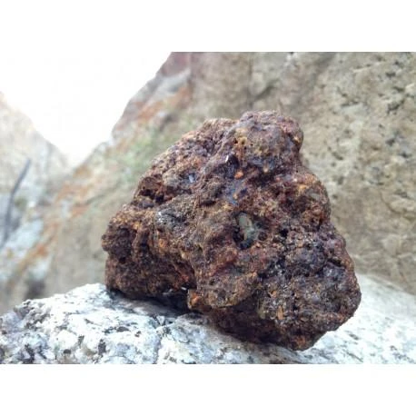 Ayumi Naturals Maisto papildas Shilajit Mumijus, Planet Ayurveda, 60 kapsulių