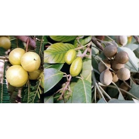 Ayumi Naturals Maisto papildas Triphala, ekologiška, Planet Ayurveda, 60 kapsulių