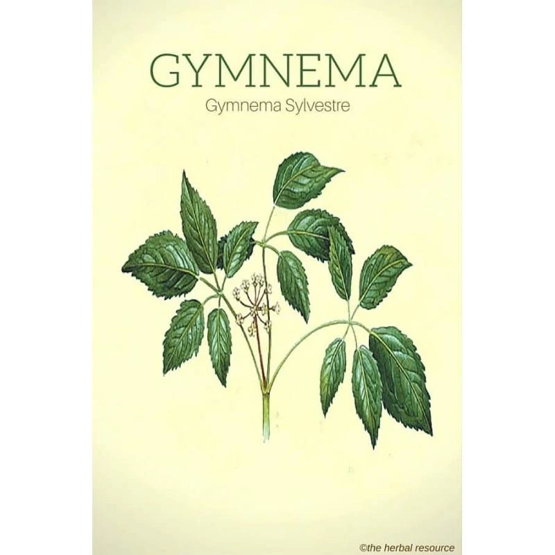 Ayumi Naturals Miškinė pokštenė Gymnema Sylvestrae, ekologiška, Planet Ayurveda, 60 kapsulių