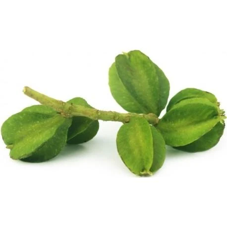 Ayumi Naturals Plikasis viršūklis Arjuna, ekologiškas, Planet Ayurveda, 60 kapsulių