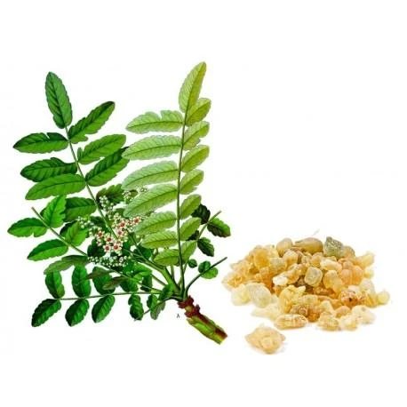 Ayumi Naturals Pluoštinė bosvelija ir ciberžolė Boswellia Curcumin, ekologiška, Planet Ayurveda, 60 kapsulių