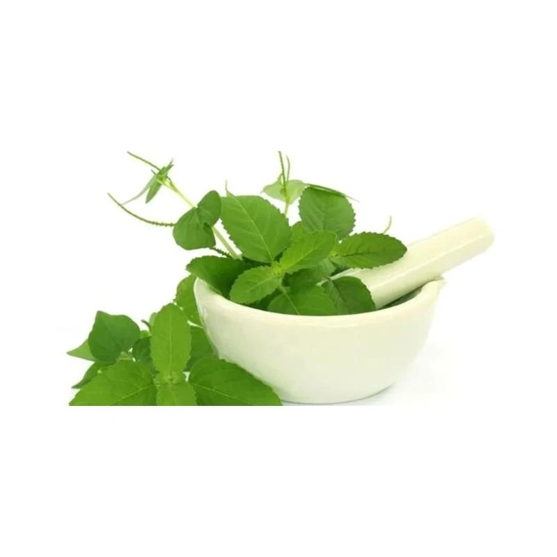 Ayumi Naturals Siauralapis bazilikas Tulsi, Planet Ayurveda, 60 kapsulių