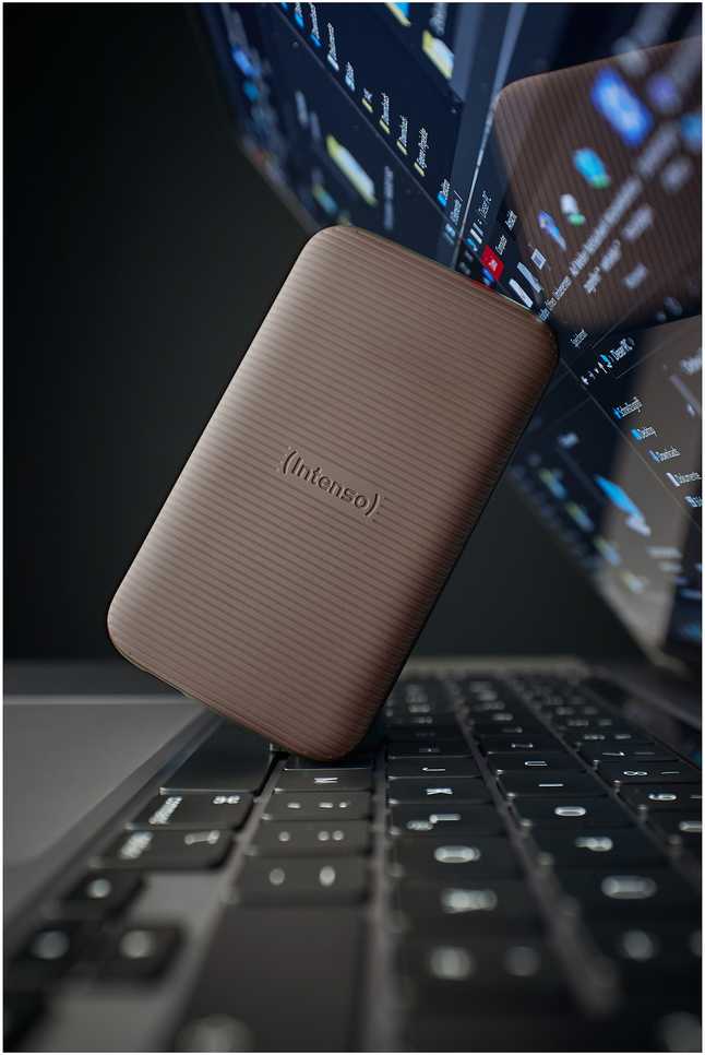 Kietasis diskas 1 TB „Intenso TX500“ nešiojamasis USB 3.2, rudas