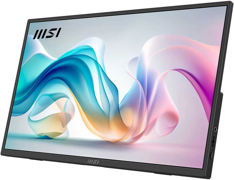 Monitorius MSI PRO MP165DE E6 40cm (16") FHD