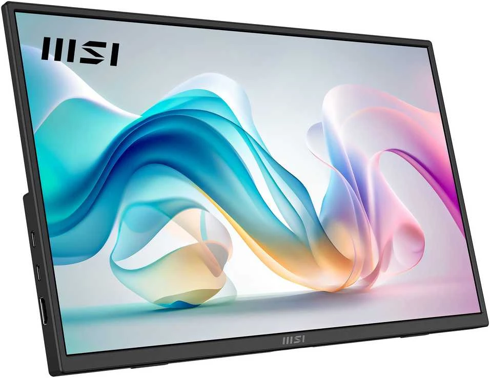 Monitorius MSI PRO MP165DE E6 40cm (16") FHD