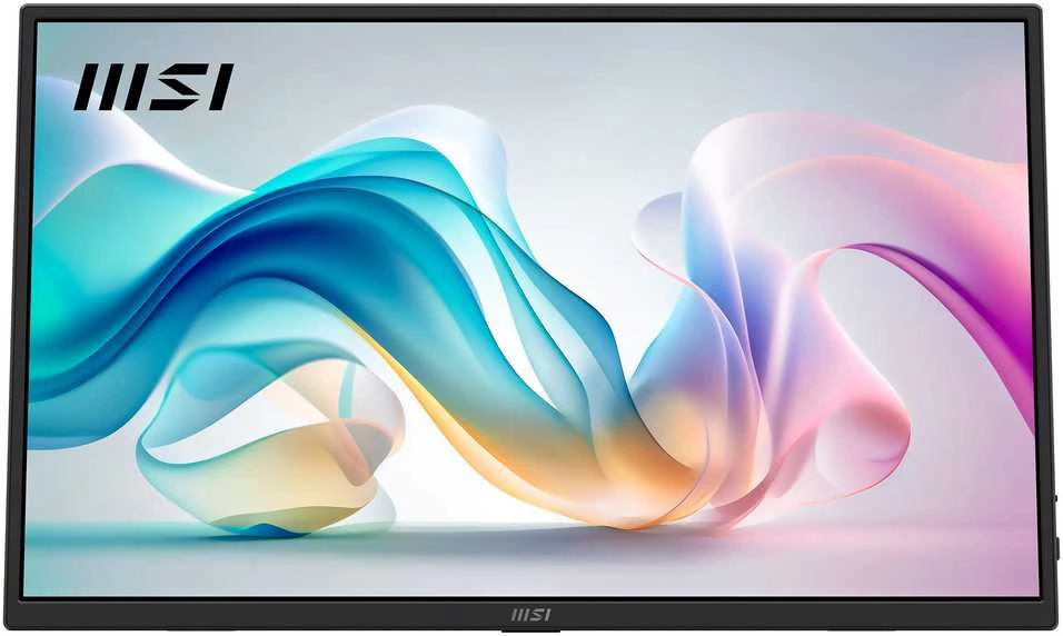 Monitorius MSI PRO MP165DE E6 40cm (16") FHD