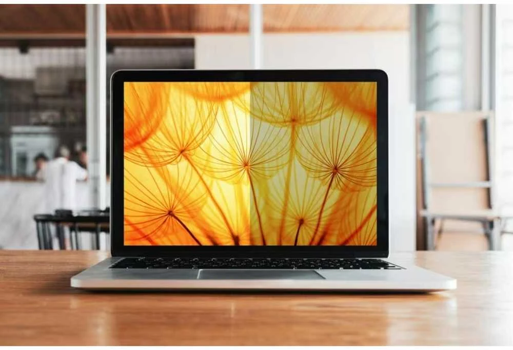 Filtras 3M 3M BPNDE005 Privacy Film 3:2 Bright Scr. Dell Multi-Line 13
