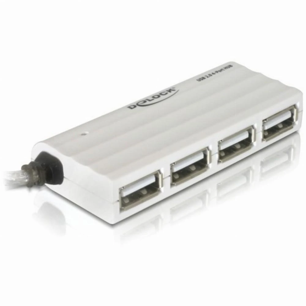 Delock 4 prievadų USB 2.0 šakotuvas