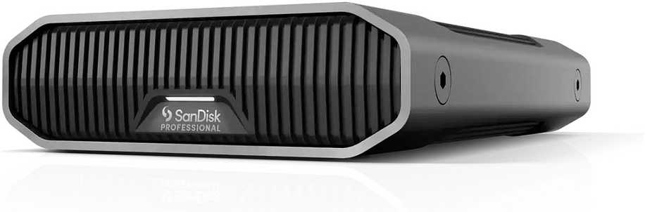 Western Digital SANDISK Professional G-DRIVE 6TB 3,5 colio USB-C 5Gbps USB 3.1 Enterprise-Class darbalaukio kietasis diskas - Kosminė pilka