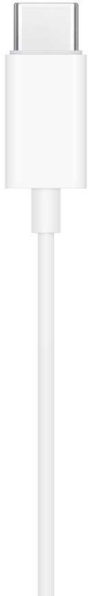 Ausinės Apple EarPods (USB-C)