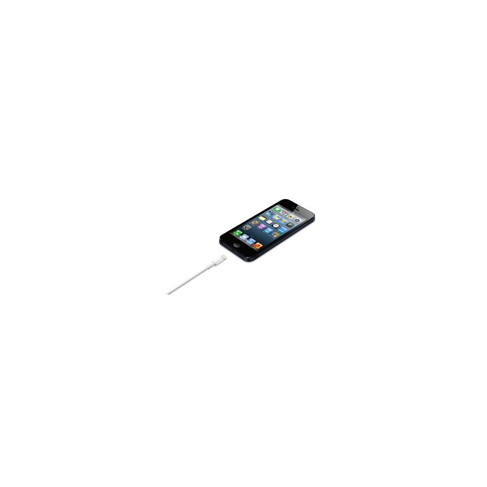 Apple iš Lightning į USB laidas (0.5 m) ME291ZM/A 