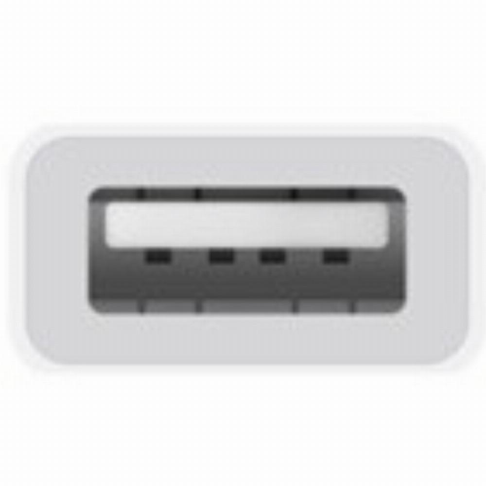 Apple USB-C į USB adapteris