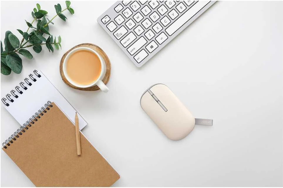Asus Marshmallow Pelė | MD100 | Pelė | 2.4 GHz, Bluetooth | rusvai gelsvas