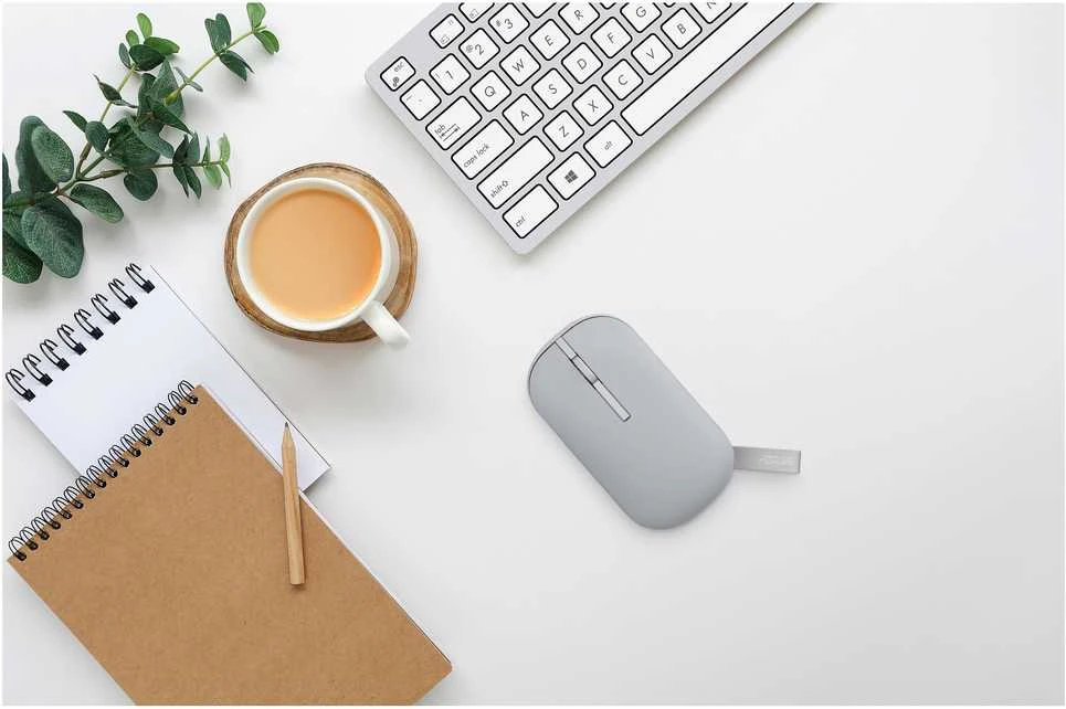 Asus Marshmallow Pelė | MD100 | Pelė | 2.4 GHz, Bluetooth | Pilkas