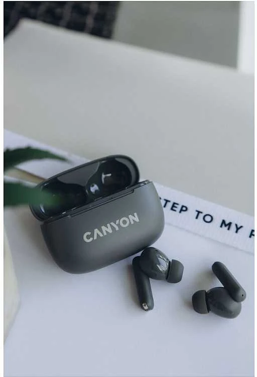 Ausinės Canyon OnGo ANC TWS-10, Pilkos