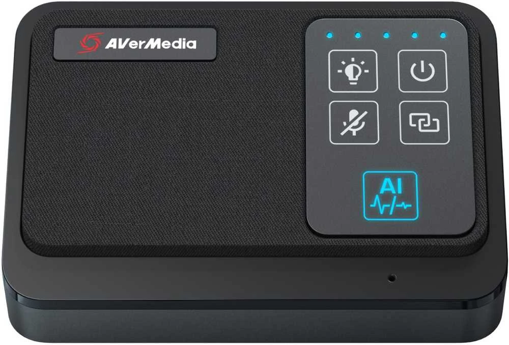 AVerMedia AVerMedia Funkmikrofon-Set für PA511D (AW111)
