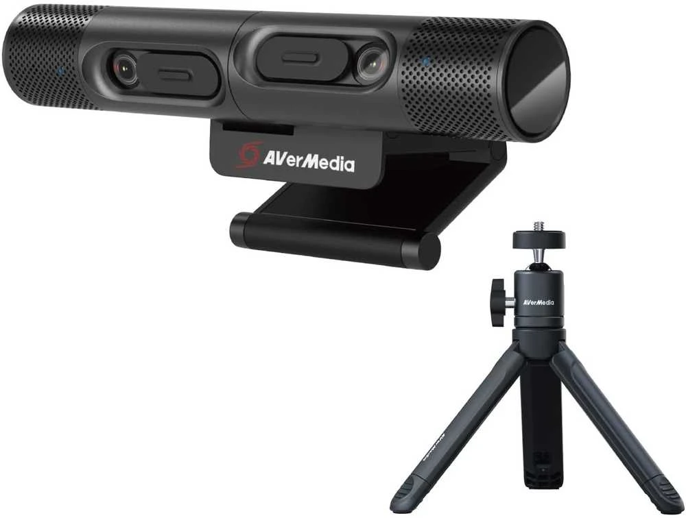 Avermedia dualcam pw313d