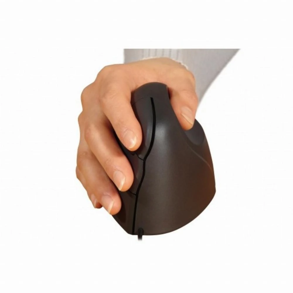Bakker Elkhuizen BakkerElkhuizen Evoluent Standard Pelė Rechtshnder/3 mygtukai
