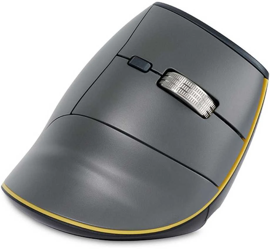 Bakker Elkhuizen Carruzzo BakkerElkhuizen FastForward kompiuterinė pelė Biuras dešinei rankai RF belaidė + Bluetooth + USB Type-C Optinis 500 DPI