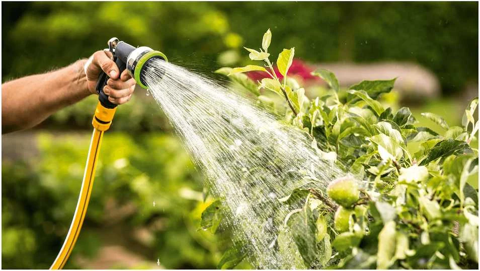 Bosch akumuliatorinis lietaus vandens siurblys GardenPump 18V-2000, 1x2,5Ah