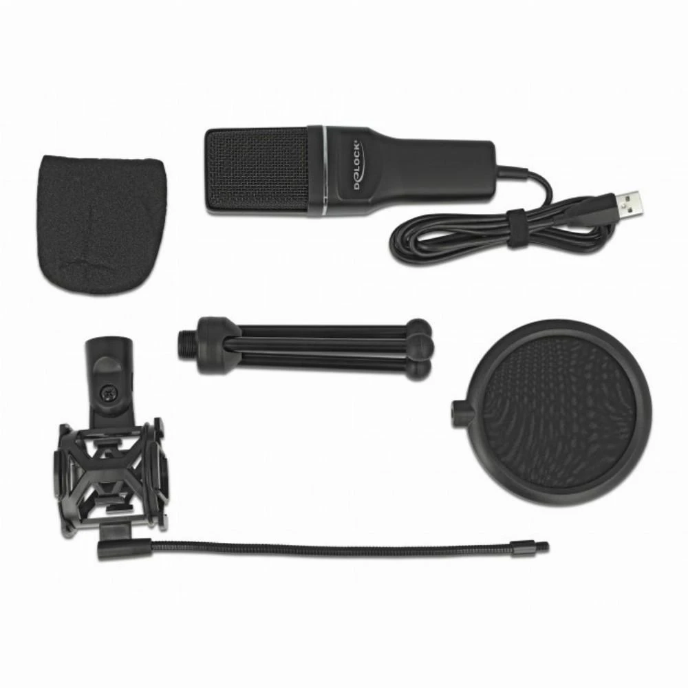 Delock USB Kondensator Mikrofonas Set - fr Podcasting, Gaming und Gesang