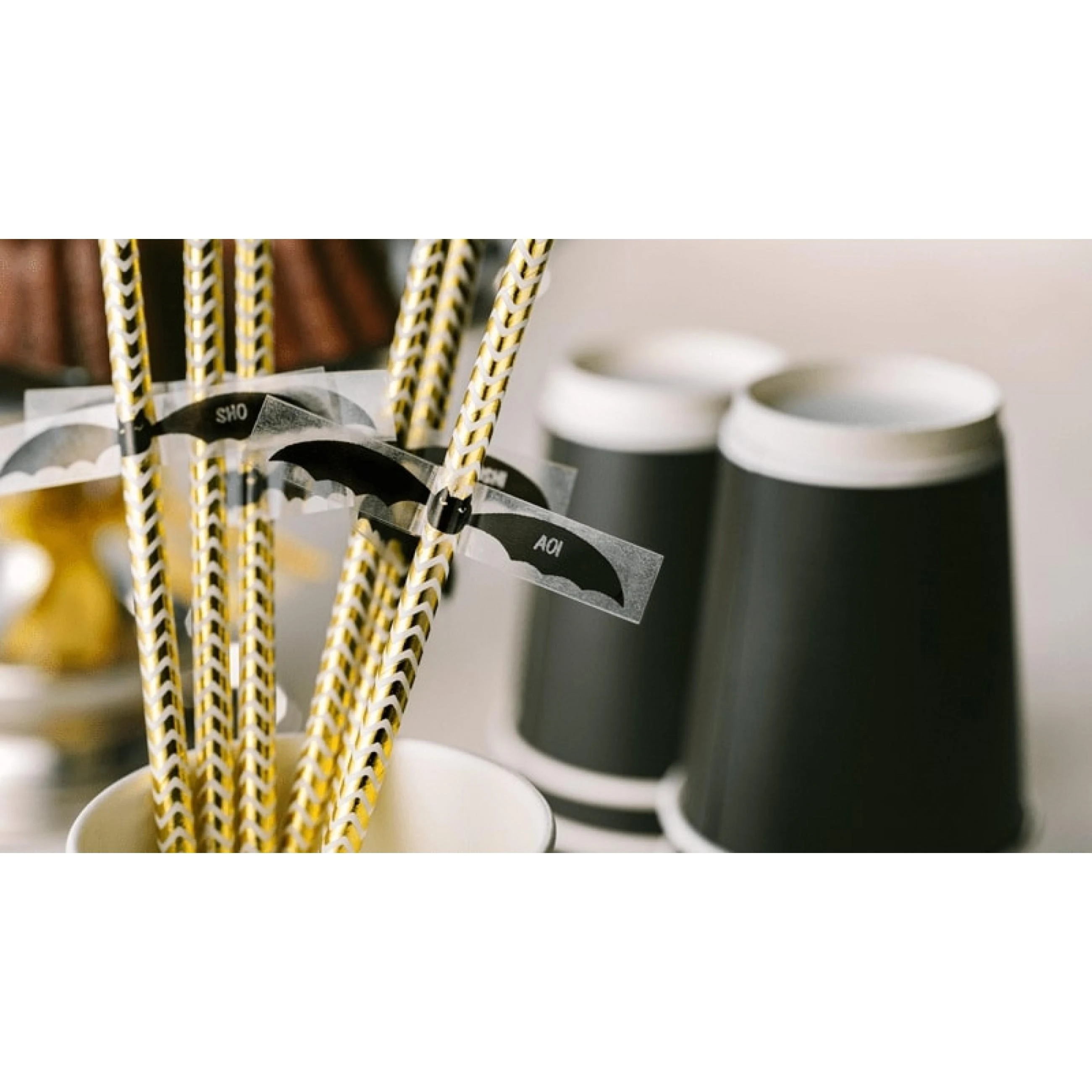 Brother | TZ-231 Laminated Tape | Juodas on Baltas | TZe | 8 m | 1.2 cm