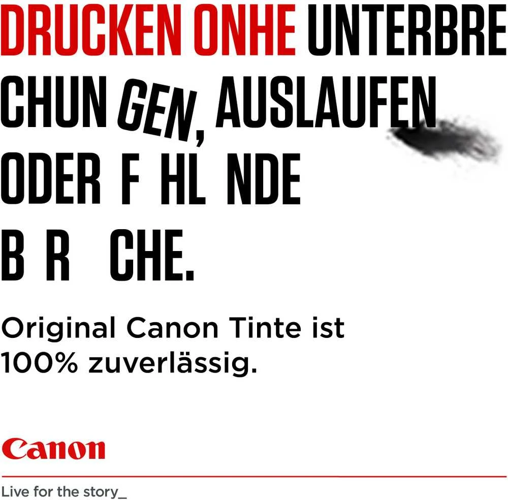 Canon PG-545XL/CL-546XL rašalo kasetė, sudėtinė pakuotė