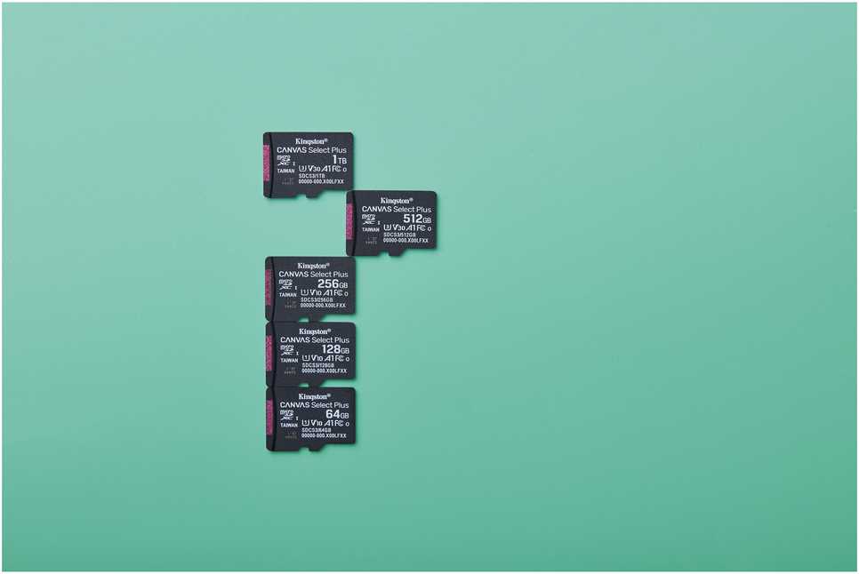 Atminties kortelė KINGSTON 1 TB mikrofoninė SDXC atmintinė „Canvas Select Plus“