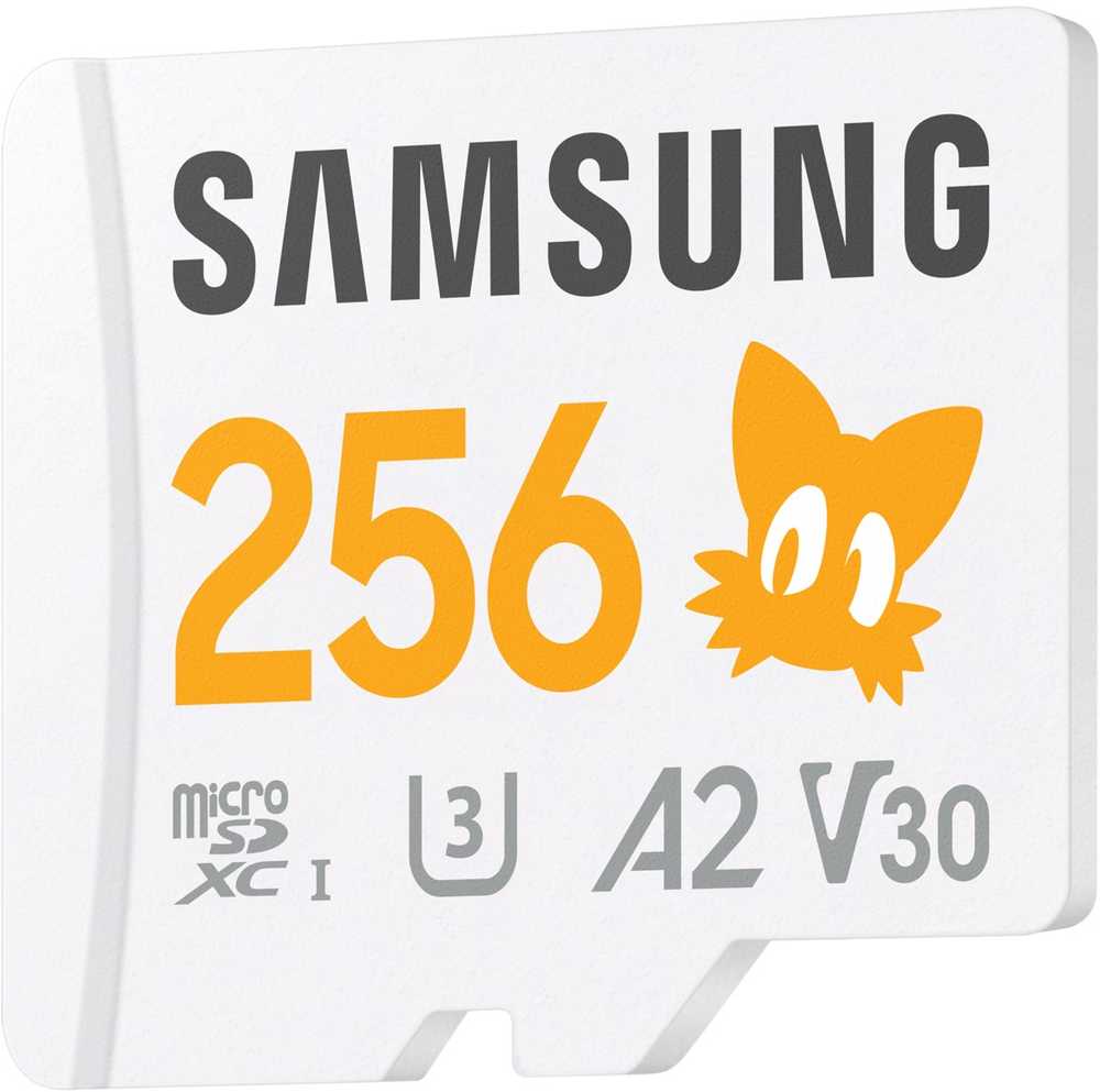 Atminties kortelė Žemėlapis Samsung Pro Plus Sonic The Hedgehog Micro SDXC 256 GB 10 klasės UHS-I/U3 A2 V30 (MB-MD256SA/LC1)