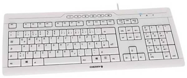 Klaviatūra Cherry TAS Stream 3.0 pilkas schweizer išdėstymas