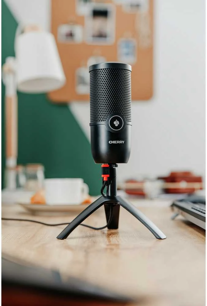 Cherry ZUB UM 3.0 USB Mikrofonas juodas