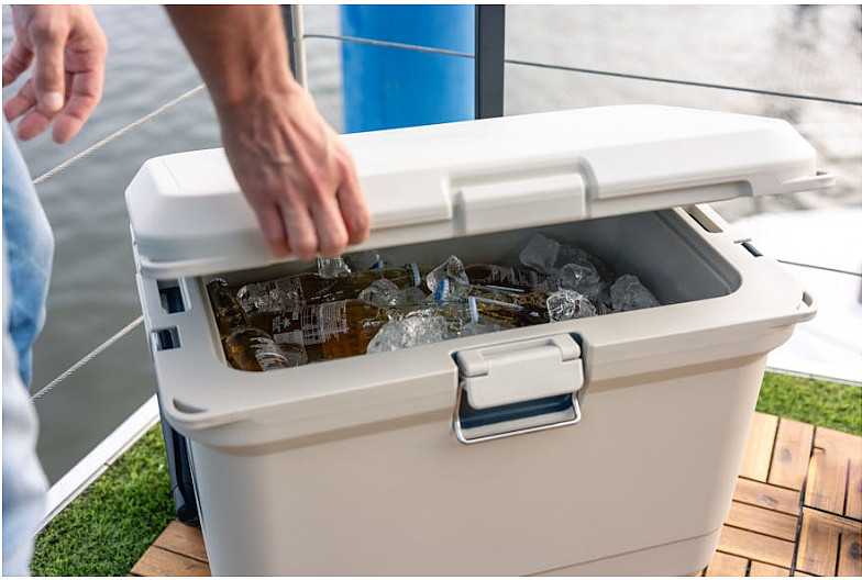 Coleman Pro 55QT aušintuvo dėžė