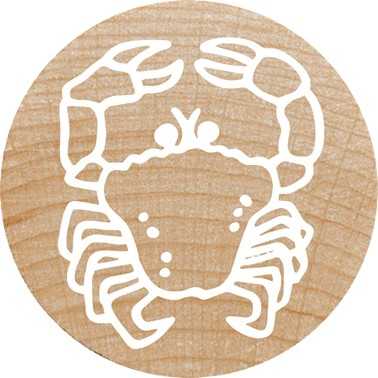 Colop COLOP WOODIES Stempel-Set ''exotic Animation'' retail