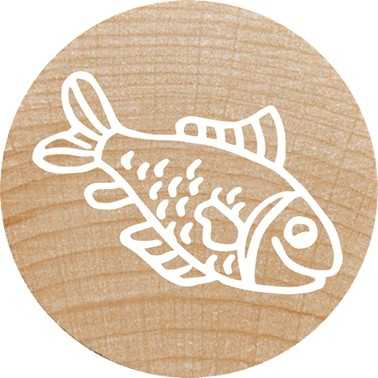 Colop COLOP WOODIES Stempel-Set ''exotic Animation'' retail