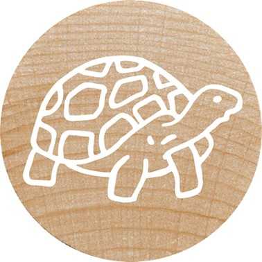 Colop COLOP WOODIES Stempel-Set ''exotic Animation'' retail