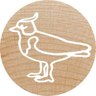 Colop COLOP WOODIES Stempel-Set ''exotic Animation'' retail