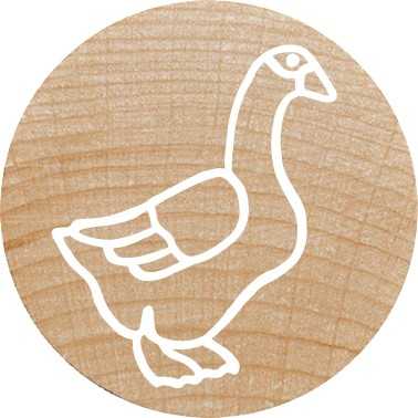 Colop WOODIES Antspaudų rinkinys „Farm Animation" mažmeninei prekybai
