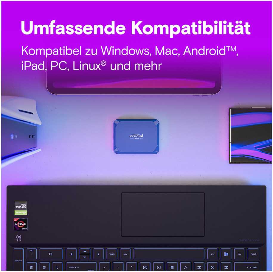 Kietasis diskas Crucial X10 SSD 1TB