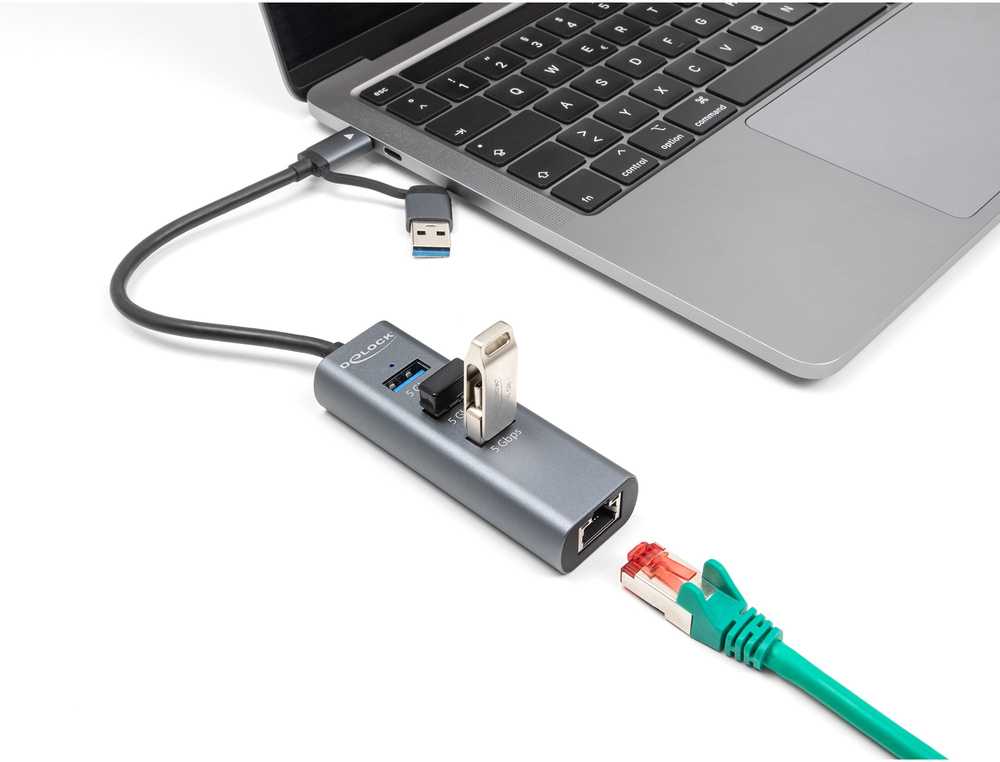 DeLOCK 3 prievadų USB 5 Gbps šakotuvas + Gigabit LAN su USB Type-C, prijungimo stotis (pilka)