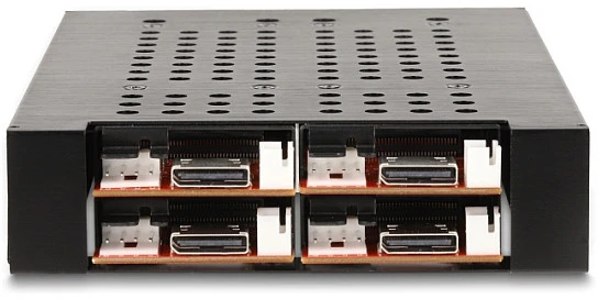 Delock 3.5? Wechselrahmen für 4 x M.2 NVMe SSD