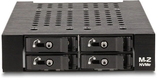 Delock 3.5? Wechselrahmen für 4 x M.2 NVMe SSD