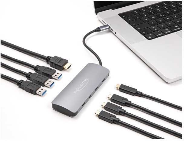 Šakotuvas „Delock 64323 USB Type-C stotelė / replikatorius“