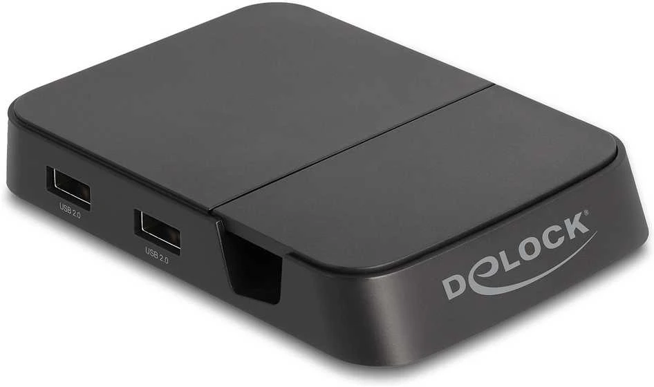 DeLOCK prijungimo stotelė su USB 2.0 prievadais