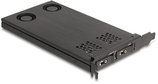 Delock PCI Express adapteris su dviem M.2 aušinimo angomis