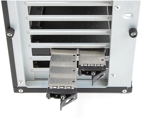 Delock PCI Express x16 Karte Wechselrahmen für 2 x M.2 NVMe SSD - Bifurcation