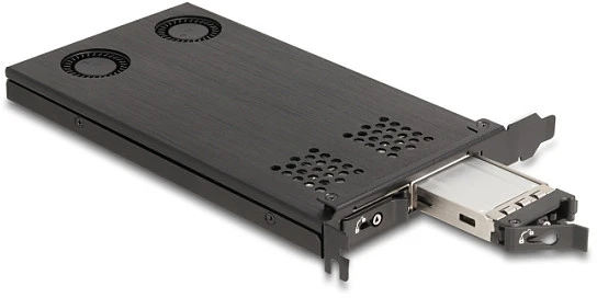 Delock PCI Express x16 Karte Wechselrahmen für 2 x M.2 NVMe SSD - Bifurcation