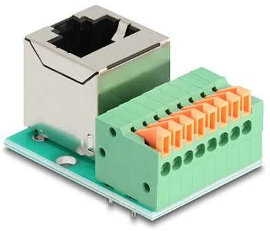 Delock RJ45 lizdas 90° kampu į gnybtų bloką su mygtuku Cat.5e